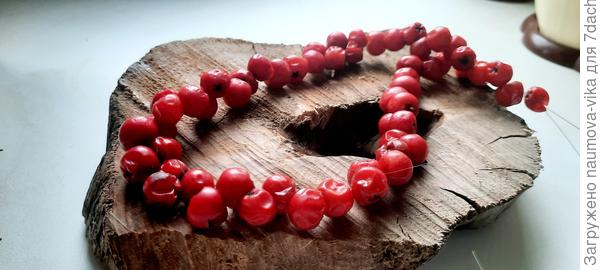 Рябиновые бусы для мамы.
