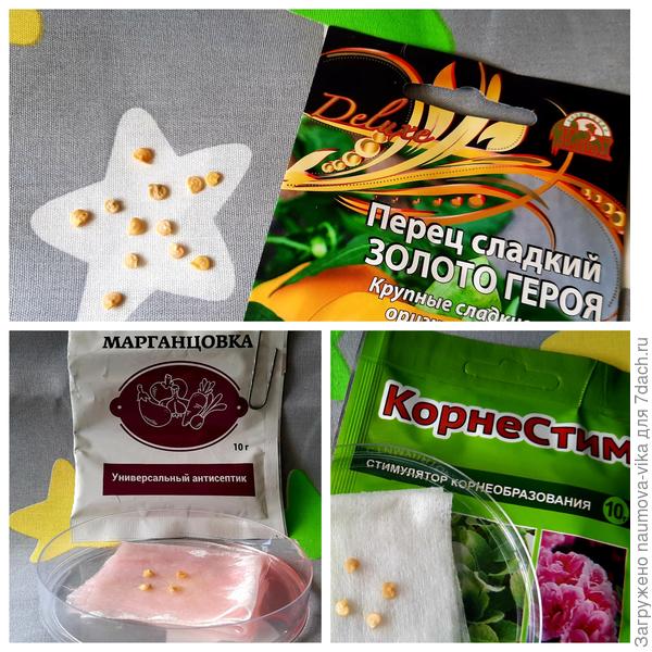 Начало теста 21.02.2022