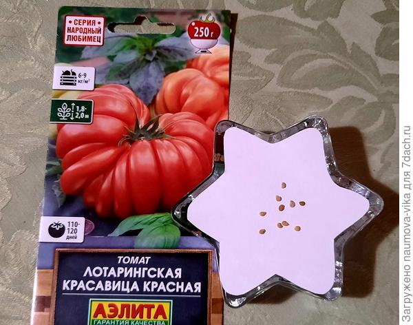 Лотарингская красавица