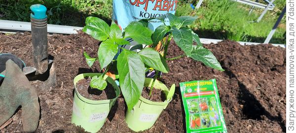 Золото героя