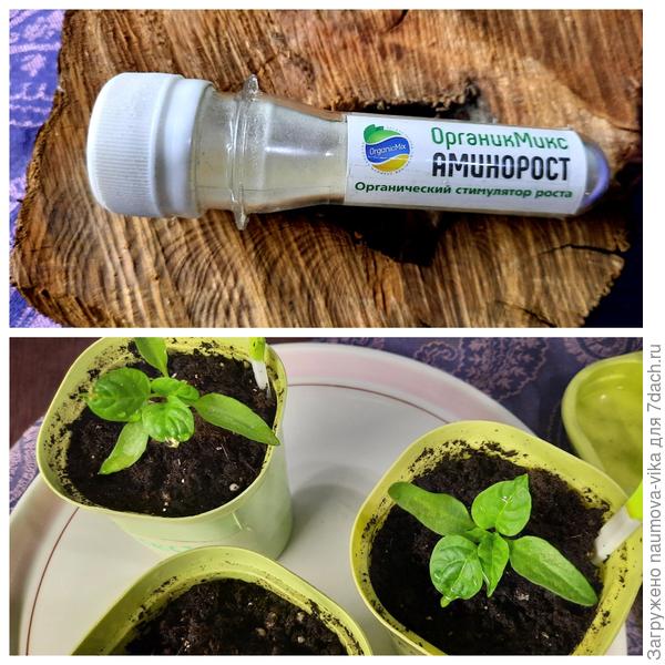 Золото героя 19.04.2022