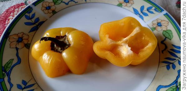 Толстостенный перчик