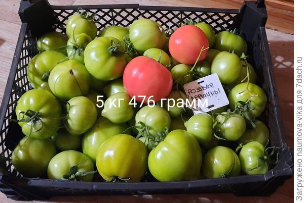 Розовые вершины f1