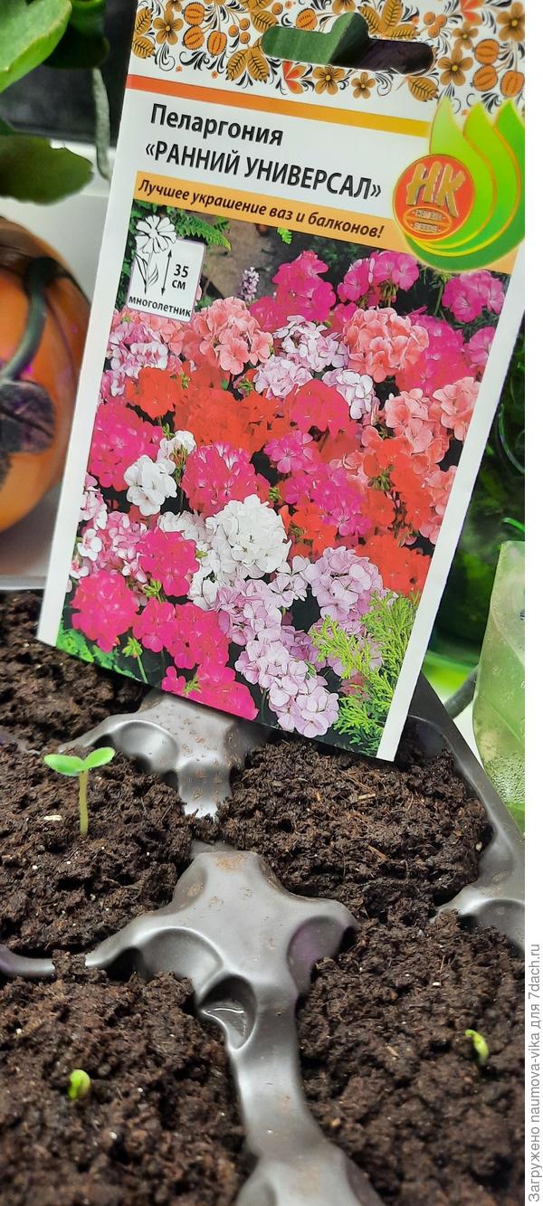 Очень хочется сиреневую и лососевую...