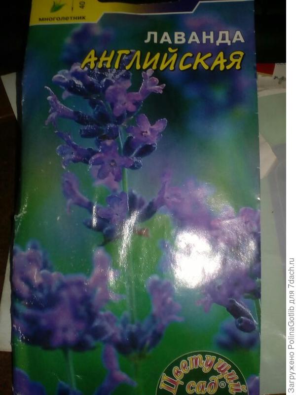 Вот семена