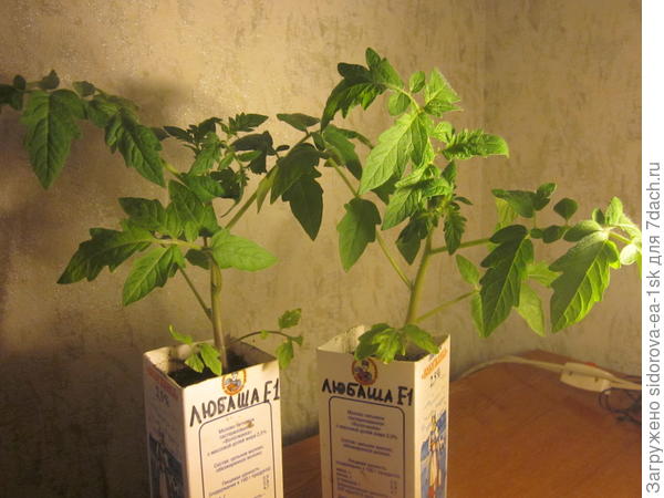 и сегодня...