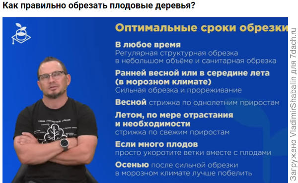 Сейчас  идет повтор  вебинара и снял скриншот