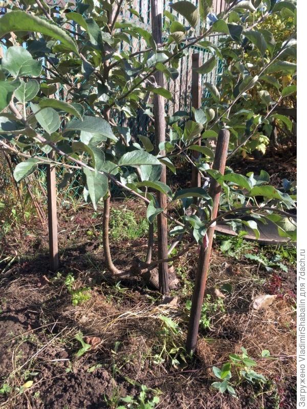 год или два назад