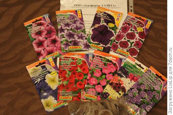 Мои красавицы.