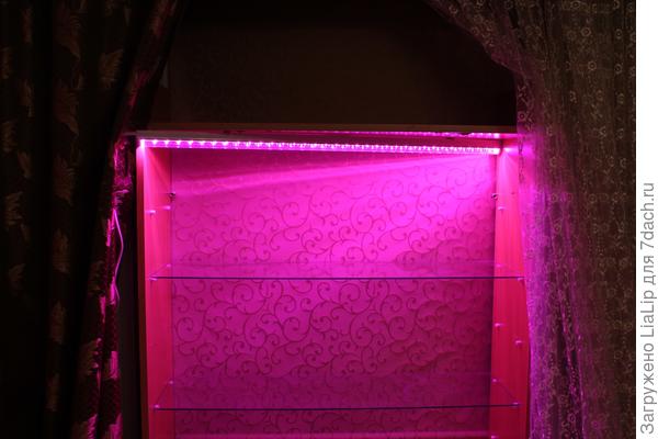 вот такой свет