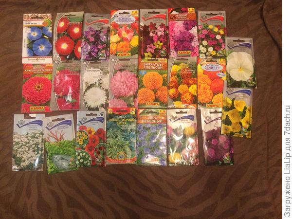 Будущий цветник