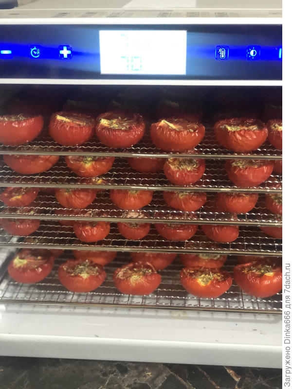 это были помидоры на вяленые