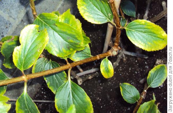 что не хватает