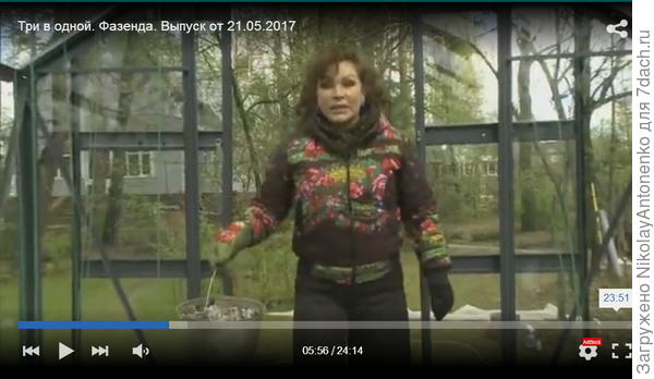Ольга Платонова