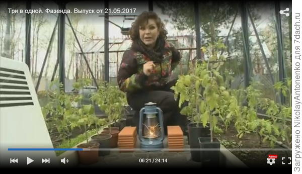 Ольга Платонова
