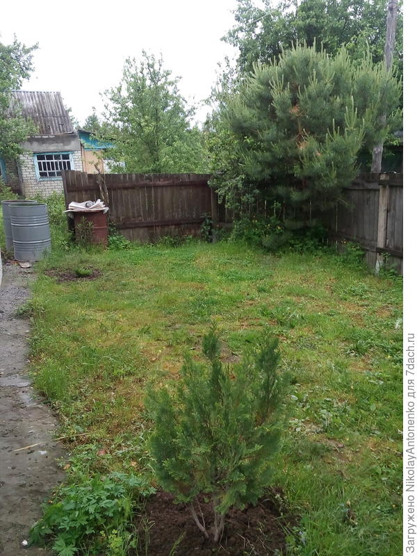 &quot;задний двор&quot;