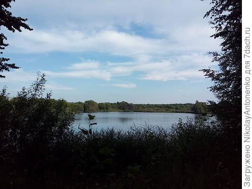 Главное природное богатство Брянщины уже давно не лес - это песок. В пойме есть старый песчаный карьер, который, вряд ли случайно, вскоре после разработки принял вид озера. Ходил давать гастроли! Озеро глубокое, до сих пор без ряски и водорослей. Верхний слой воды, приблизительно 30-50 см прогревается, глубже вода прохладная. Путь не близкий - чтобы &quot;сходить поплавать&quot;  надо преодолеть 10 км. в одну сторону и столько же обратно, преимущественно в гору.  Это Вам не мультфильм &quot;Мария, Мирабелла&quot;