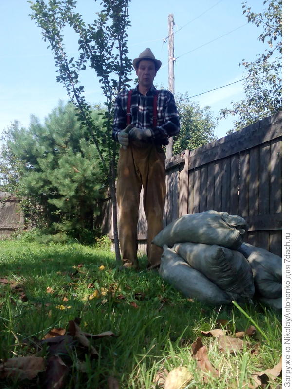 основа успеха