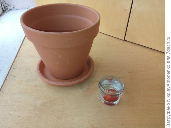 Посевной материал