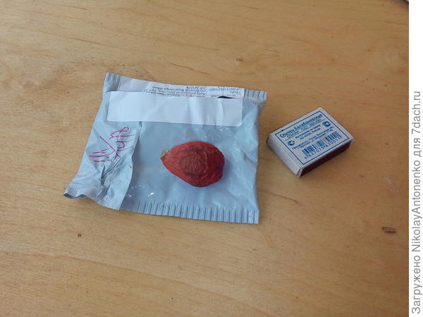 Содержимое посылки