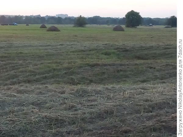 Пойма в окрестностях города