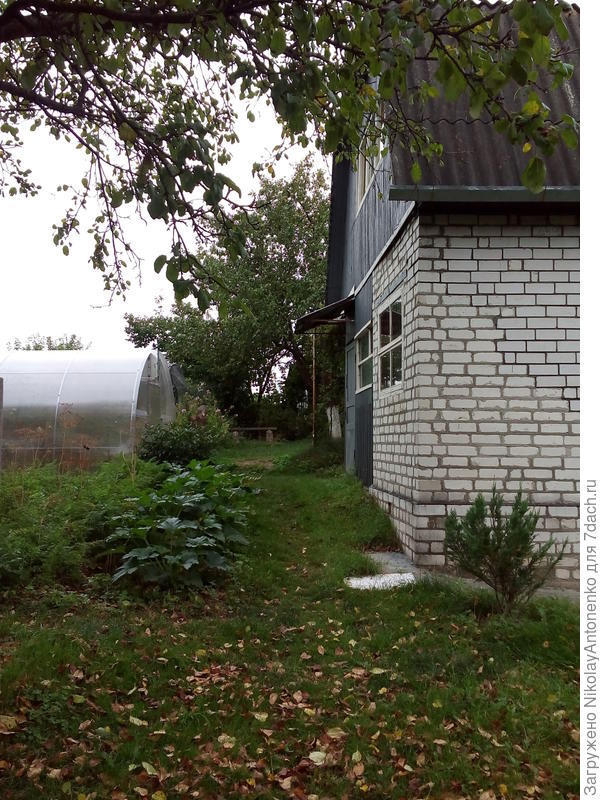 конец Августа