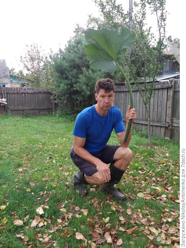 Ещё не вечер!