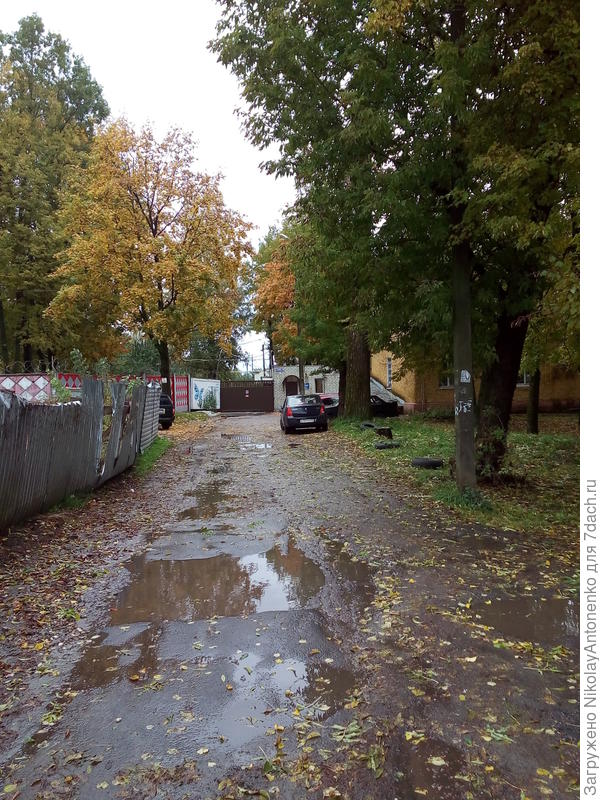 типичная осень