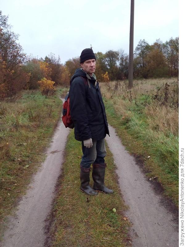 Карнавал грибов () Карнавал грибов