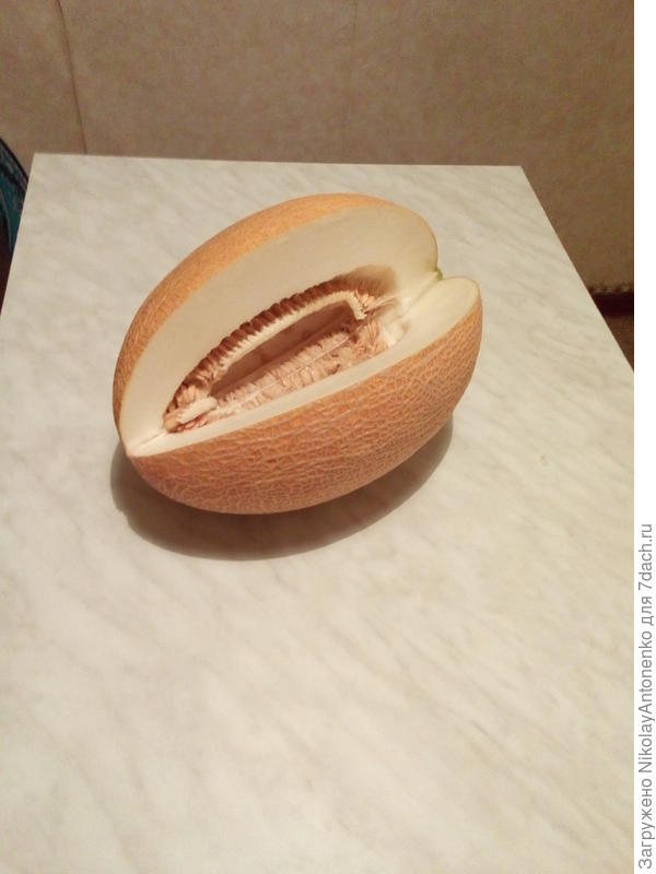 дыня, не очень сладкая, пришлось подсластить сахаром