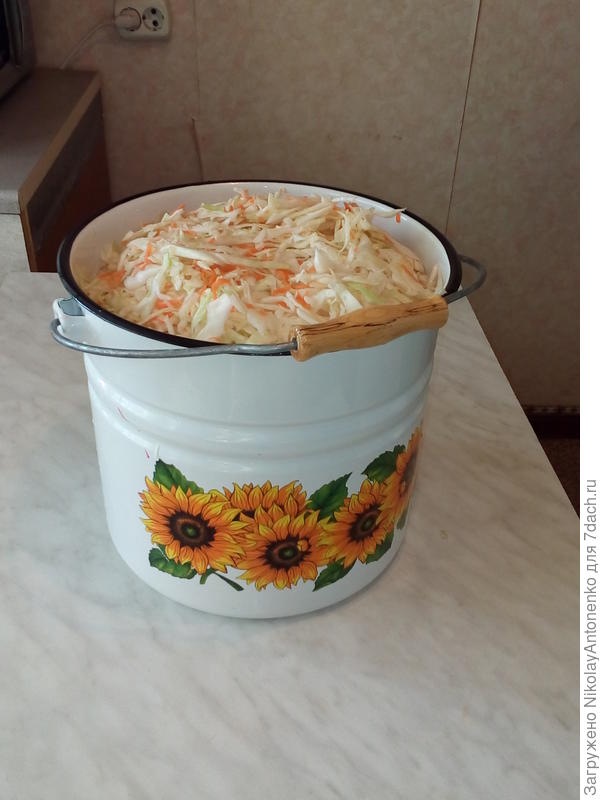 ведро с капустой