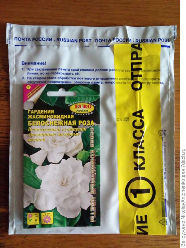 содержимое конверта