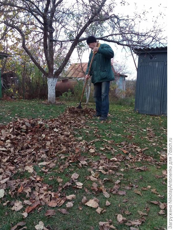 Готовлюсь к визиту Снежной Королевы, навожу порядок на участке.