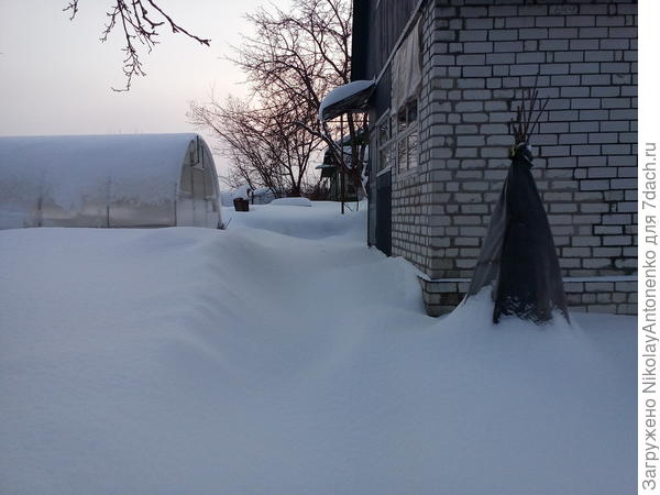 Заснеженный участок