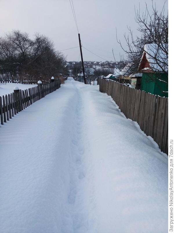 Тропинка под снегом