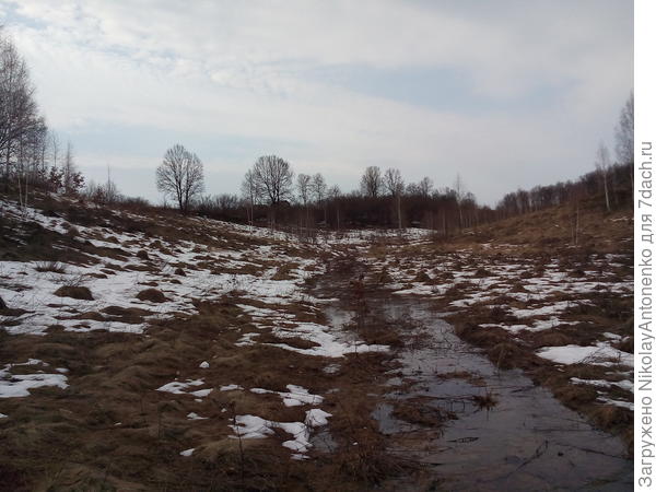 Ореховая балка весной