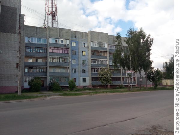 видное место занимает акация