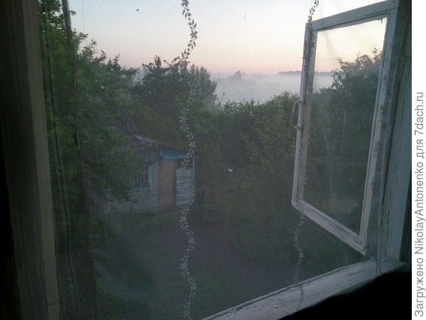 открытое окно, тюль от камаров