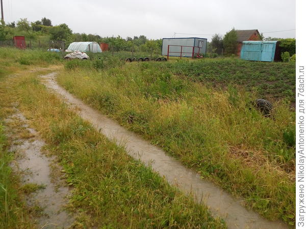 Дождь, соседнее дачное общество. Несмотря на видимую простоту, у соседей свет и вода постоянно.