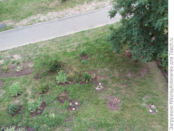 Вид из окна