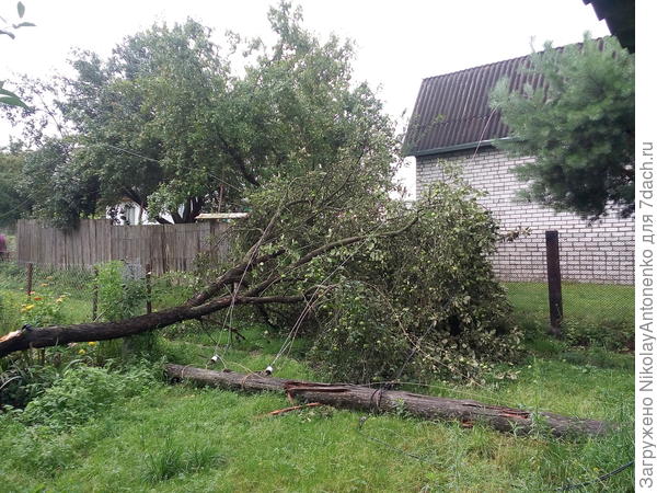 заваленная дорога