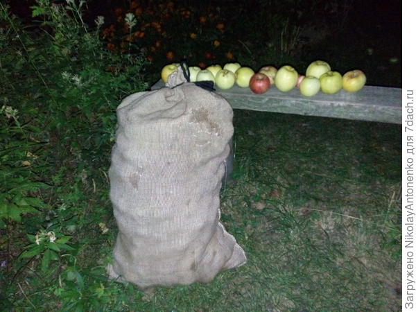 мешок с яблоками