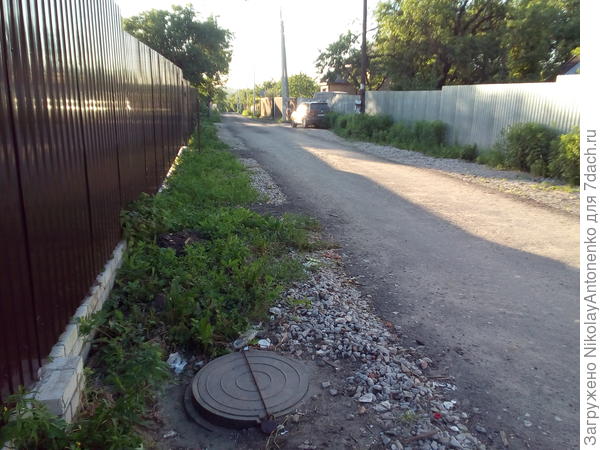 центральная аллея