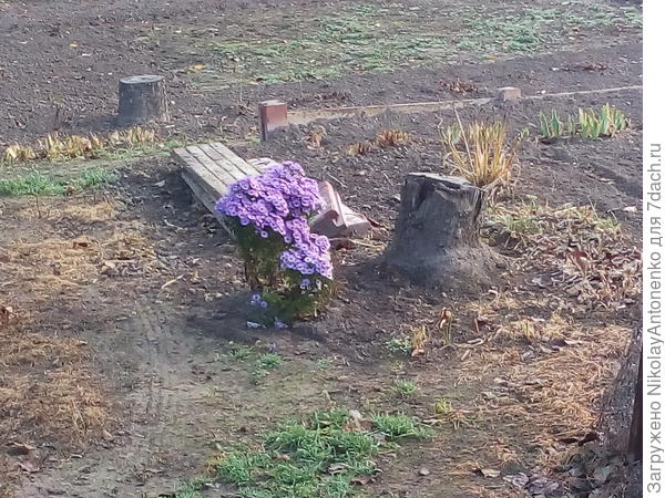 Соседский участок, любопытное совпадение.