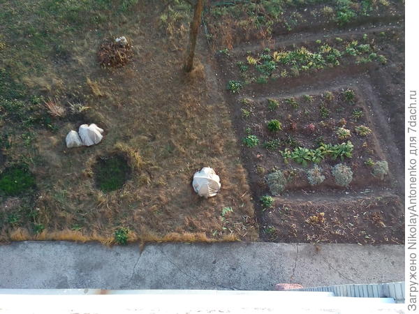 Вид под балконом