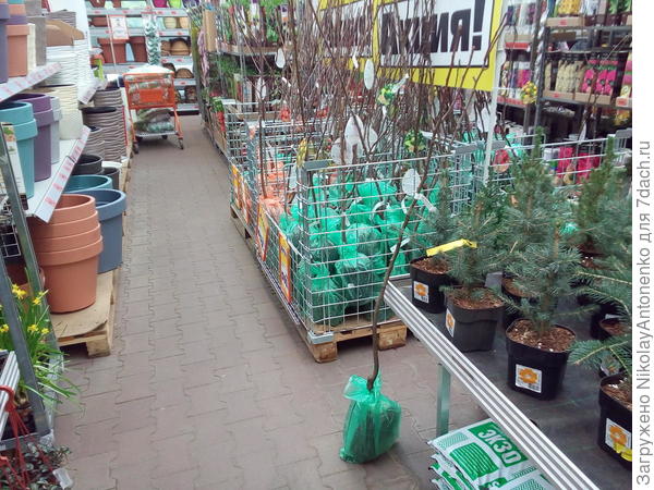 Ассортимент