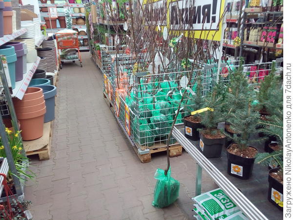 Ассортимент