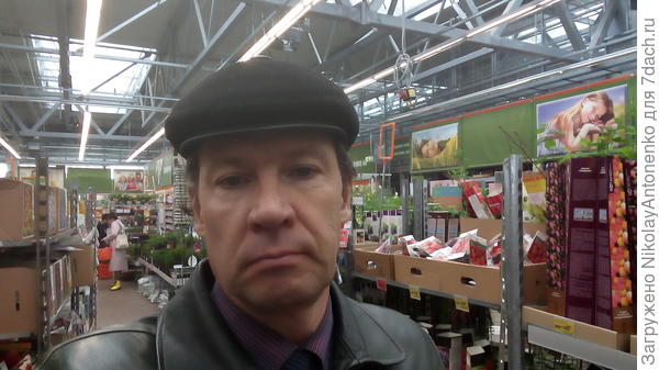 Портрет в гипермаркете OBI