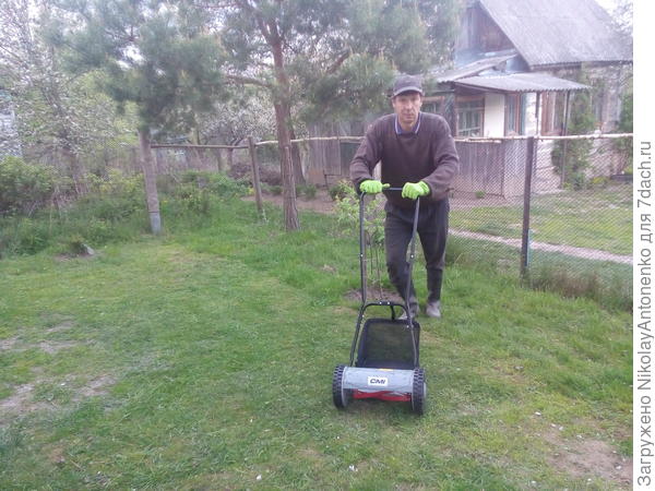 дебют газонокосилки