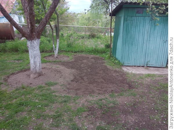 приствольные круги и подсыпка грунта